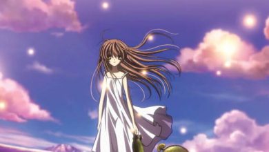 تحميل حلقات انمي Clannad: After Story برابط واحد ومباشر