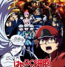 تحميل جميع حلقات انمي Hataraku Saibou Black برابط واحد مباشر